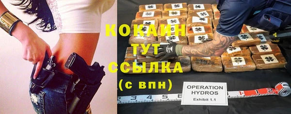 каннабис Аркадак